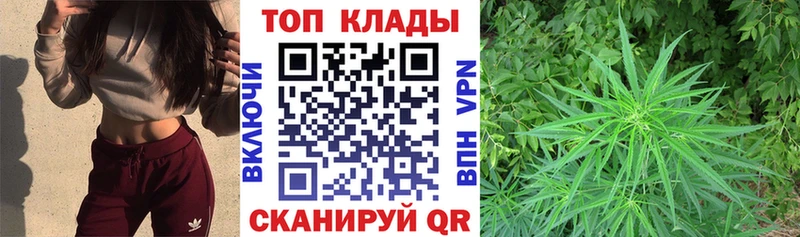 Как найти закладки Тутаев ГАШ  Псилоцибиновые грибы  Меф мяу мяу  A-PVP 