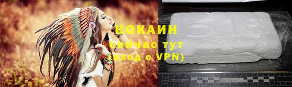 крисы Аркадак