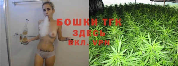 крисы Аркадак
