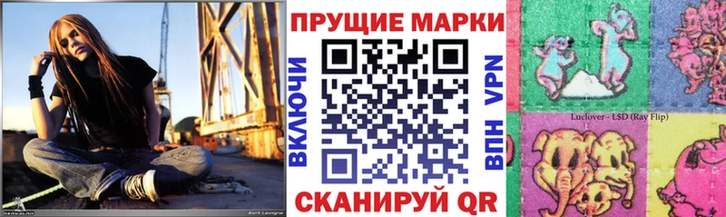 блэк спрут зеркало  Тутаев  Марки NBOMe 1,8мг 
